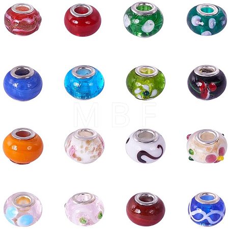 Mixed Styles Handmade Lampwork Glass European Beads LPDL-PH0001-03-1