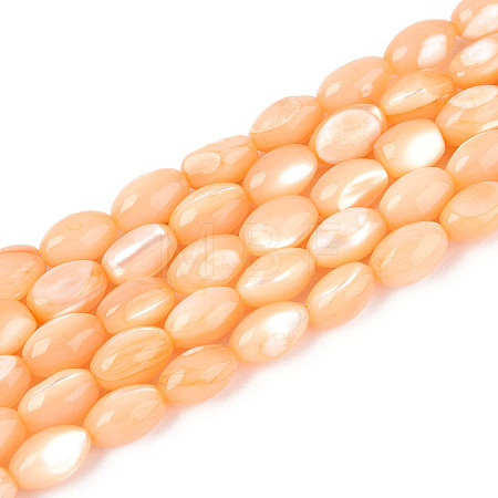 Natural Trochus Shell Beads Strands SHEL-K006-19-01G-1