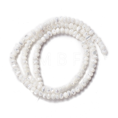 Natural Trochid Shell/Trochus Shell Beads Strands SSHEL-O001-24B-02-1