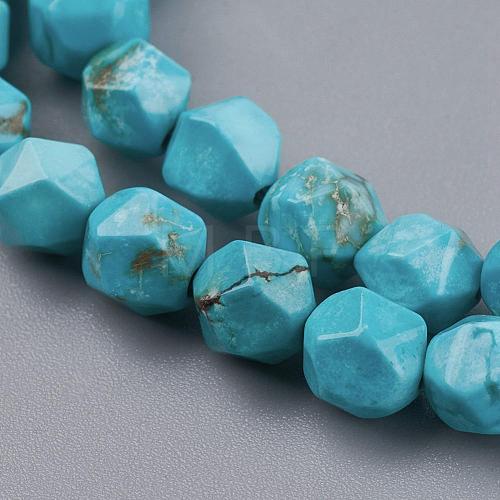 Dyed Natural Howlite Beads Strands TURQ-F010-12B-1