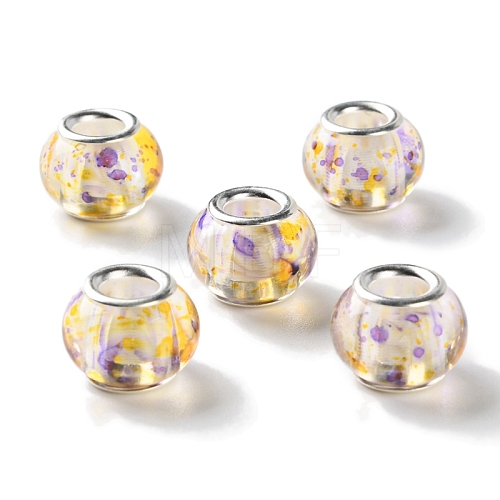 Transparent Two-Color Brass Cores Acrylic European Beads OACR-M024-05S-08-1