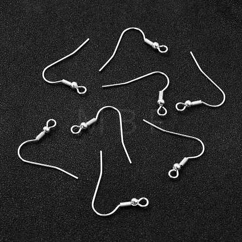 304 Stainless Steel Earring Hooks STAS-L258-001B-S-1