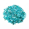 Natural Freshwater Shell Beads LS-X-BSHE-I011-03B-1