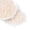 FGB Inside Colours Transparent Glass Seed Beads SEED-T009-01K-3