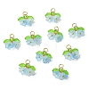 Glass Pendants PALLOY-YW00054-02-1