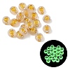Luminous Transparent Acrylic Beads OACR-P037-01B-O-1