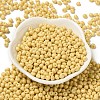 6/0 Opaque Baking Paint Glass Seed Beads SEED-M012-02A-07-2