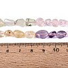 Natural Rose Quartz & Amethyst & Citrine(Heated) & Prehnite Beads Strands G-N371-01A-01-6