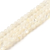 Natural White Shell Beads Strands SHEL-M021-03B-1