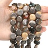 Natural Picasso Jasper Beads Strands G-L648-B03-15mm-2