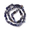Natural Sodalite Beads Strands G-E115-01-3