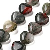 Natural African Bloodstone Beads Strands G-B022-35C-2