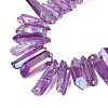 Spray Painted Electroplate Natural Quartz Crystal Points Beads Strands G-Q610-02G-3