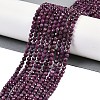 Natural Ruby Beads Strands G-P553-G01-03-1