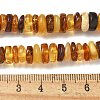 Natural Amber Beads Strands G-K387-C01-01-5