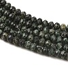Natural Seraphinite Beads Strands G-K376-E06-4x6mm-4