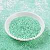 MIYUKI Round Rocailles Beads SEED-X0054-RR0218-2