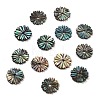 Natural Paua Shell Carved Beads SSHEL-Z002-04-1