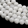 Natural Rainbow Moonstone Beads Strands G-C280-B15-8mm-4
