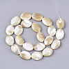 Natural Trochid Shell/Trochus Shell Beads Strands SSHEL-N032-05-2