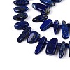 Natural Lapis Lazuli Beads Strands G-Z091-A23-3