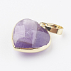 Natural Amethyst Pendants G-G737-14G-G-1