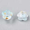 Frosted Transparent Acrylic Beads LS-OACR-N137-72I-3