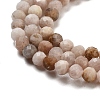 Natural Peach Moonstone Beads Strands G-B093-A01-01-3