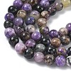 Natural Charoite Beads Strands G-C270-O03-02-4