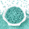 6/0 Transparent Inside Colours Glass Seed Beads SEED-N008-08G-2