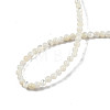 Natural White Shell Bead Strands X-SSHEL-N003-144A-01-4