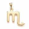 304 Stainless Steel Pendants STAS-L210-06G-G-01-1