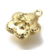 Rack Plating Brass Micro Pave Cubic Zirconia Charms KK-M014-03G-2