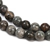 Natural Gemstone Beads Strands G-F792-C11-06-4
