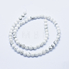 Natural Howlite Beads Strands X-G-P353-01-6mm-2