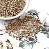 Electroplate 12/0 Glass Seed Beads X-SEED-Q003-01-2