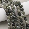 Natural Green Rutilated Quartz Beads Strands G-P325-03-10mm-5