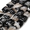 Natural Agate Beads Strands G-F820-Q01-01B-2
