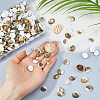 300Pcs Natural Shiva Eye Shell Cabochons SHEL-FH0001-28-3