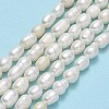 Natural Cultured Freshwater Pearl Beads Strands PEAR-J006-10D-02A-2