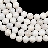 Round Grade A Natural Rainbow Moonstone Bead Strands G-M304-06-8.5mm-5