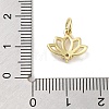 Rack Plating Brass Clear Cubic Zirconia Pendants KK-M293-11G-3