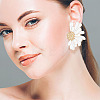 2 Sets 2 Color Alloy Flower Asymmetrical Earrings EJEW-FI0001-33-5