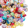 DIY European Beads Kits DIY-SC0034-17-7