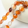 Flat Round Gemstone Natural Red Agate Stone Beads Strands G-S110-14mm-03-5