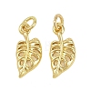 Brass Pendants KK-D218-12G-01-1