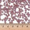 TOHO 6/0 Round Beads SEED-XTR06-0166B-4