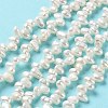 Natural Cultured Freshwater Pearl Beads Strands PEAR-E019-05-2