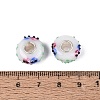 3D Lampwork & Brass Core European Beads LAMP-Q042-01E-3