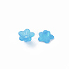 Transparent Acrylic Beads PL554-10-2